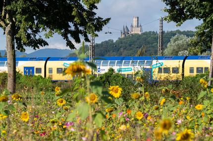 Bahnverkehr: Streikfrei unterwegs