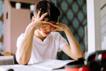 Ergebnisse der Pisa-Studie: A teenage boy is concentrated diligently reading a book, preparing for a test in a school subject at home in the living room at the table