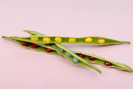 Ernährung: Bohnen mit Jelly Bellys