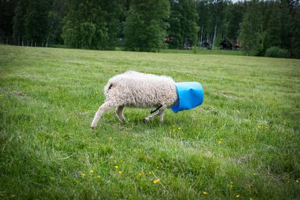 Schamgefühl: Schämt euch ruhig!