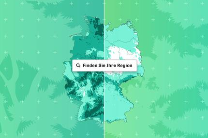 Wälder im Klimawandel: Wo Deutschlands Bäume verschwinden