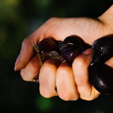 Weinexperimente: Die köstlichen Regelbrecher