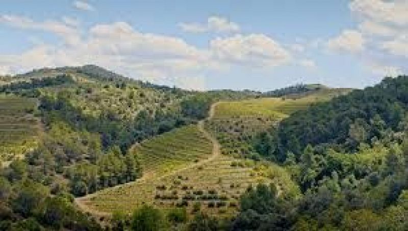 Sn 4 dies- Viatges: La comarca del Priorat