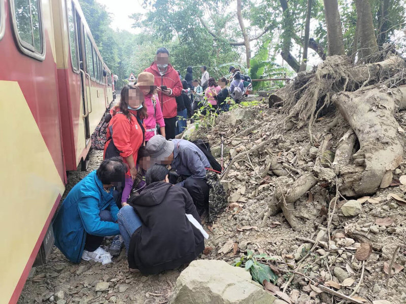 夢想國際旅行社14日帶團走阿里山火車森林鐵軌，造成1名團員遭列車擦撞受傷。（阿里山林業鐵路及文化資產管理處提供）中央社記者姜宜菁傳真 113年12月15日