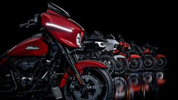 Harley Davidson Will Release This Motorcycle Row In 2025