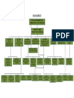 Organisation Chart