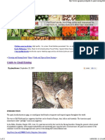 Guide To Quail Raising - Ag PDF