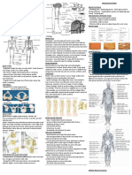 Anatomy - & - Physiology Cheat Sheet