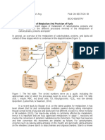 Overview of Metab and Carbo 1