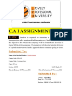 C.A I Assignment: Topic