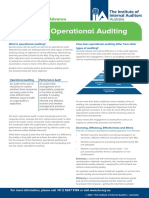 Factsheet Operational Auditing