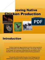 Poultry Raising 