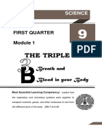 The Triple B: Breath and