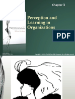 Perception and Learning in Organizations: Mcgraw-Hill/Irwin Mcshane/Von Glinow Ob 5E