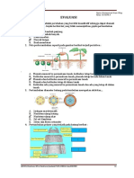 XII Biologi KDB