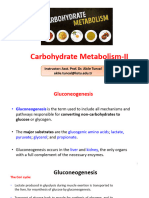 LECTURE 3 - Carbohydrate Metabolism