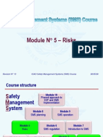 ICAO SMS M 05 - Risks (R013) 09 (E)