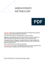 555501661-Carbohydrate Metabolism Bds