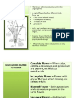 Plant Morphology - Bunga