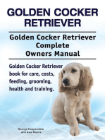 Golden Cocker Retriever. Golden Cocker Retriever Complete Owners Manual. Golden Cocker Retriever book for care, costs, feeding, grooming, health and training.