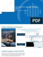 Appliation Example Hydrate Inhibition