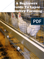 A Beginners Guide To Poultry Layer Farming