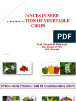 Seed Prodtn of Veg Crops