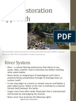 River Restoration Experience