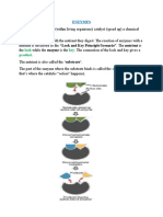 ENZYMES (Updated Notes)