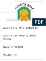 Physics Project (1) D