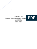 Disaster Risk Management Plan 3 1