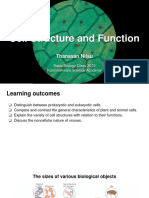 04 Cell Structure and Function