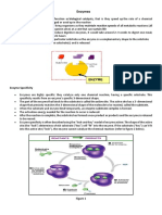 Chapter Enzymes