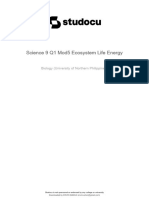 Science 9 q1 Mod5 Ecosystem Life Energy