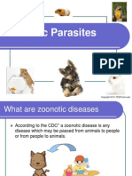 Zoonotic Parasites