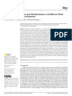 Integrated Proteomics and Metabolomics of Safflower Petal Wilting and Seed Development