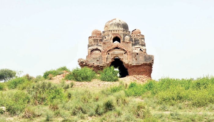 ضلع کہانی ’ٹنڈو محمد خان‘