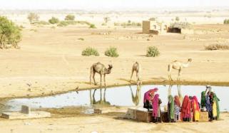 Wadi Sindh