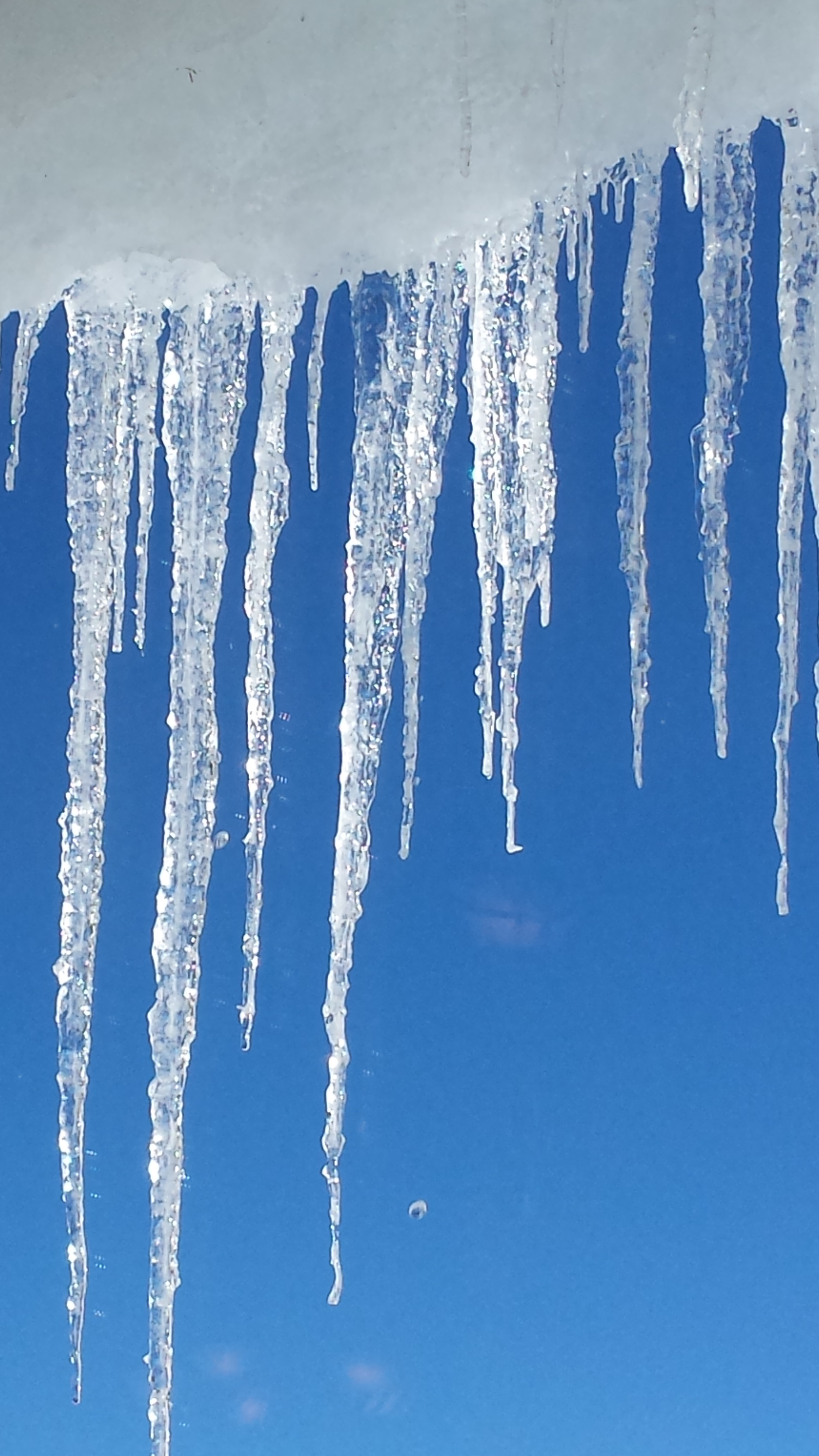 Icicles photo