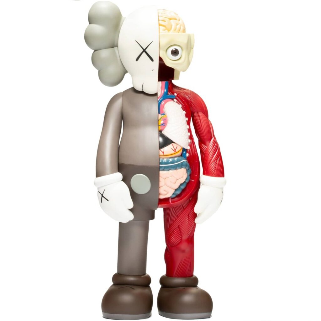 KAWS Dissected Companion 5YL Brown – KawsToy