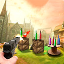 Bottle Target Shooting 3D