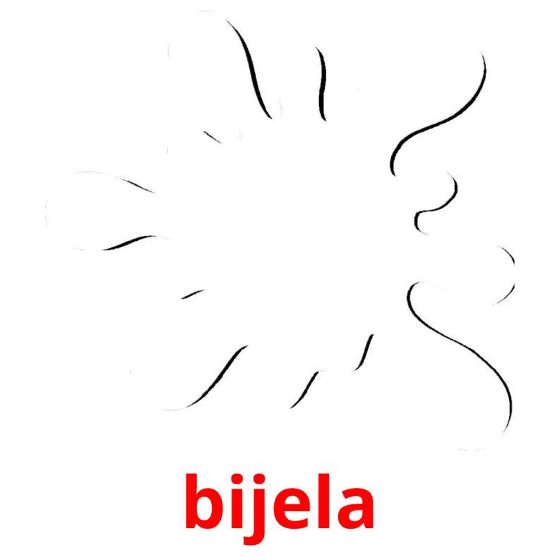 bijela picture flashcards