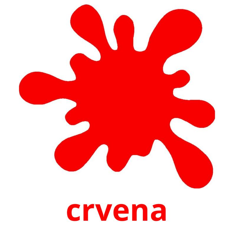 crvena picture flashcards