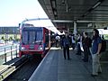 CanningtownDLRplatform