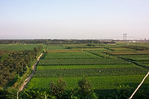 Chinafarmland