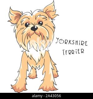 Vector Yorkshire terrier dog Stock Vector