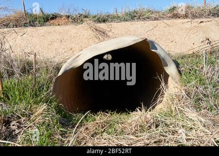 End view of Small culvert under a farm to market road in Texas Stock Photo