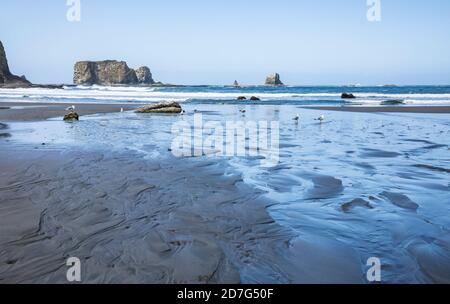 Low tide on a clear day at 2nd Beach, Olympic National Park Coastal Preserve, Washington, USA. Stock Photo