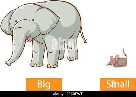 Opposite adjectives words with big and small illustration Stock Vector