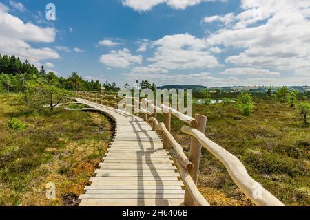 wooden path through the black moor in the rhön Stock Photo